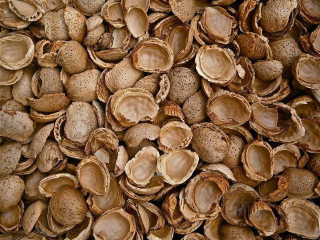 sweet almond oil